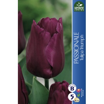 TULPĖS PASSIONALE