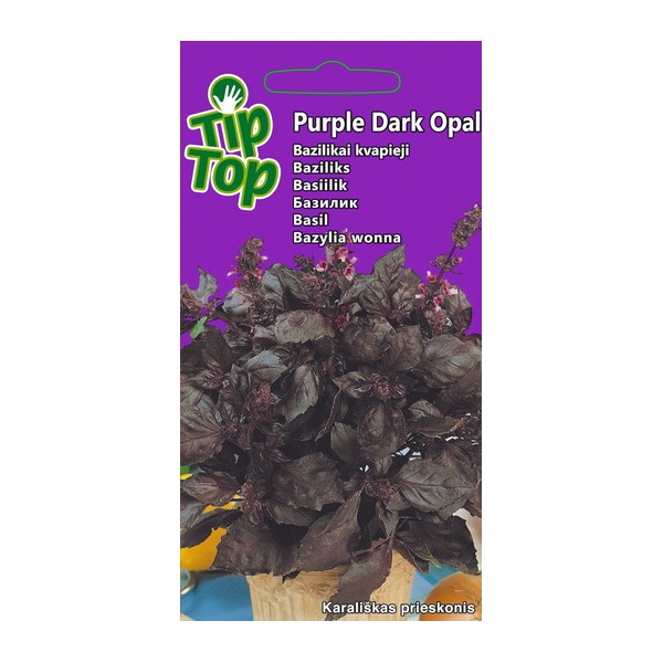 TIP TOP KVAPIEJI BAZILIKAI PURPLE DARK OPAL