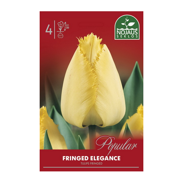 POPULAR TULPĖS FRINGED ELEGANCE