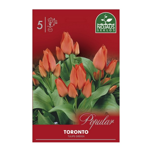 POPULAR TULPĖS TORONTO