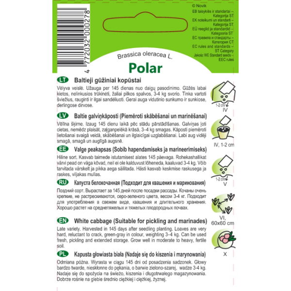TIP TOP BALTIEJI GŪŽINIAI KOPŪSTAI POLAR