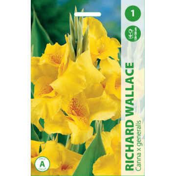 KANOS RICHARD WALLACE