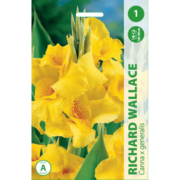 KANOS RICHARD WALLACE