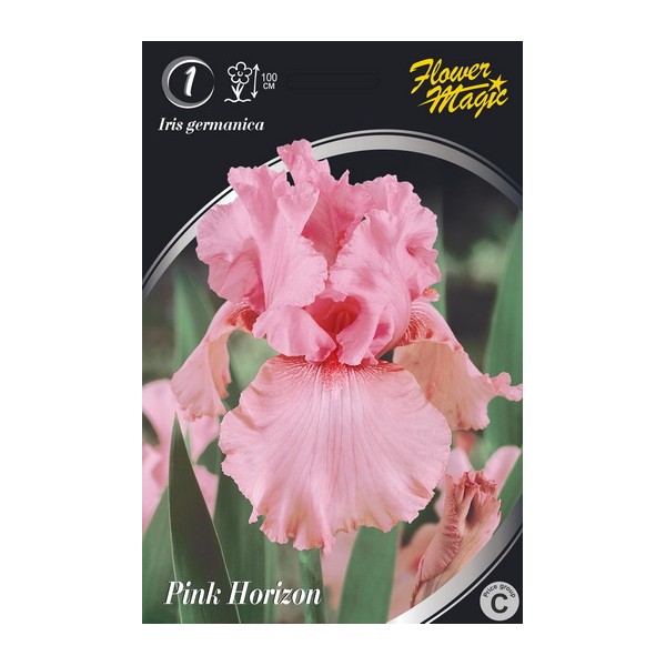 VILKDALGIAI PINK HORIZON