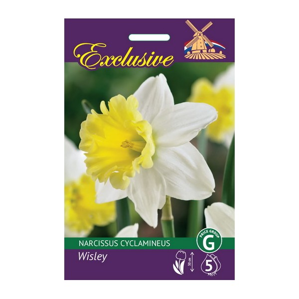 NARCIZAI EXCLUSIVE WISLEY