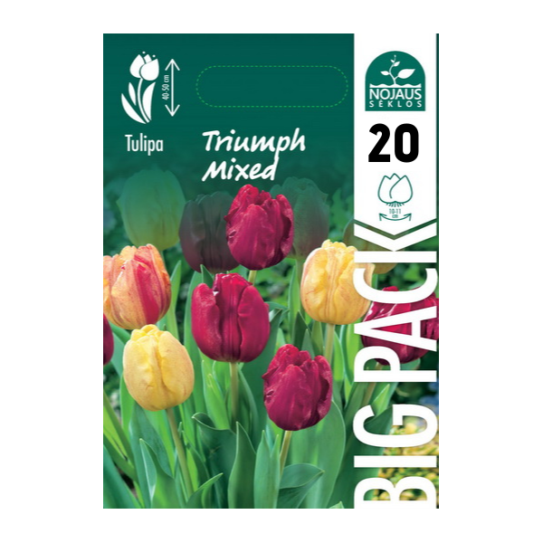TULPĖS BIG PACK MIX TRIUMPH 20 vnt.
