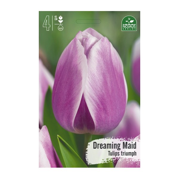 TULPĖS DREAMING MAID BEST SELLER