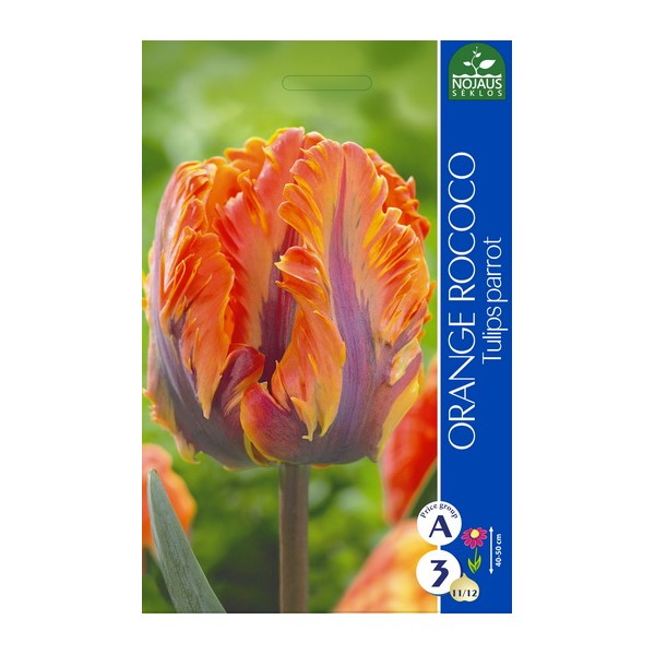 TULPĖS ORANGE ROCOCO