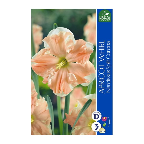 NARCIZAI APRICOT WHIRL