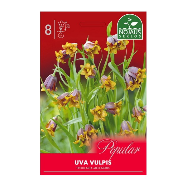 POPULAR MARGUTĖS UVA VULPIS