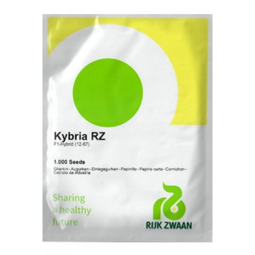 AGURKAI KYBRIA H 1000 sėklų