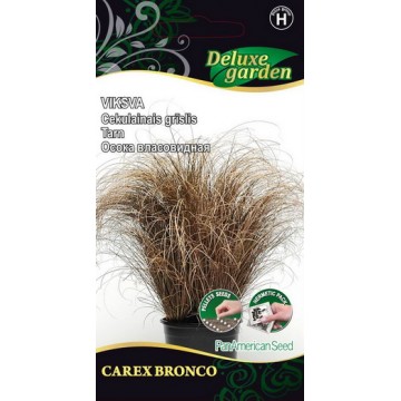 VIKSVA CAREX BRONCO