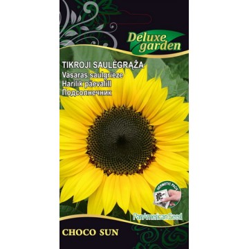 GLEŽNOJI SAULĖGRĄŽA CHOCO SUN