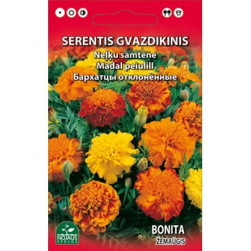 SERENTIS GVAZDIKINIS