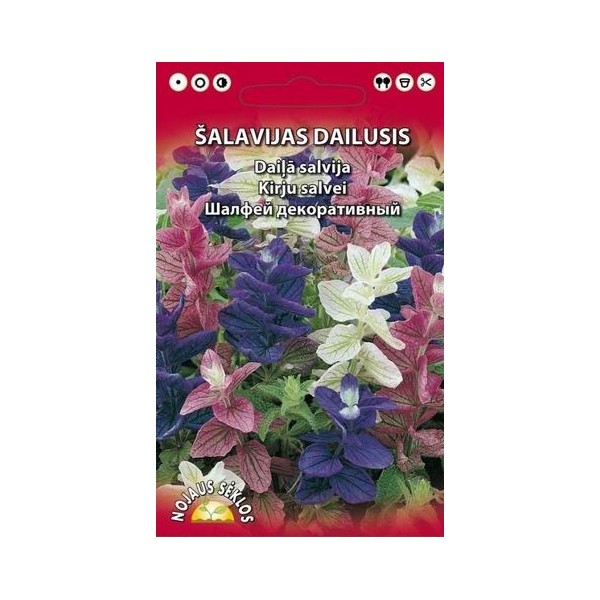ŠALAVIJAS DAILUSIS MIŠINYS