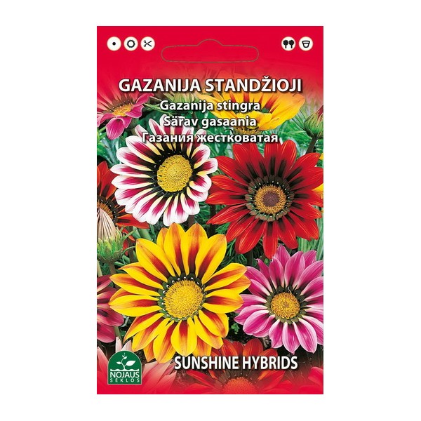 GAZANIJA STANDŽIOJI