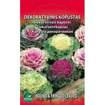 KOPŪSTAS DEKORATYVINIS