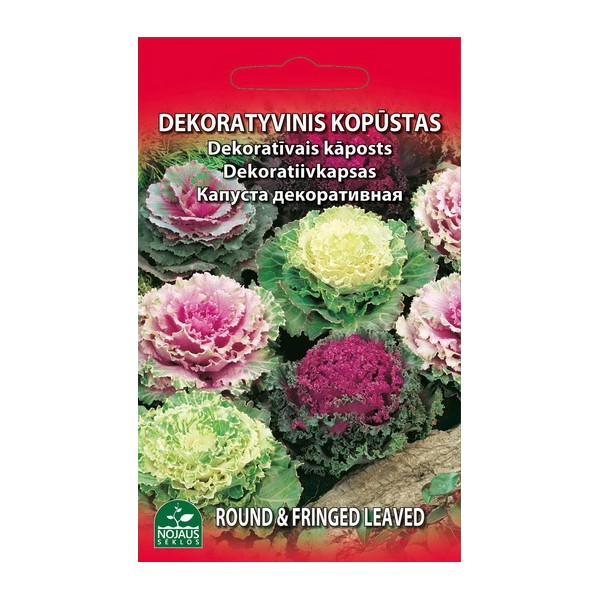 KOPŪSTAS DEKORATYVINIS