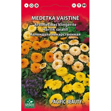 MEDETKA VAISTINĖ