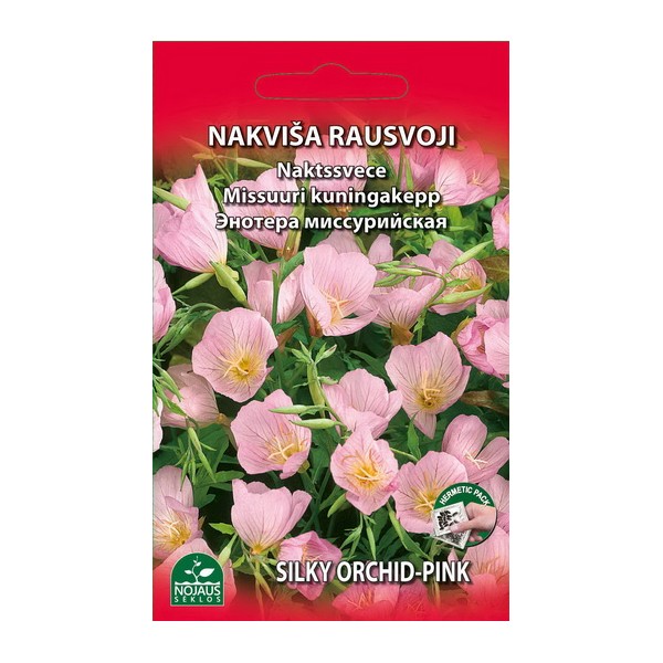 NAKVIŠA MISŪRINĖ DAUGIAMETĖ (RAUSVOJI)