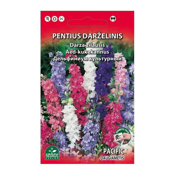 PENTINIUS DARŽELINIS DAUGIAMETIS