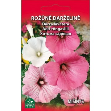 ROŽŪNĖ DARŽELINĖ