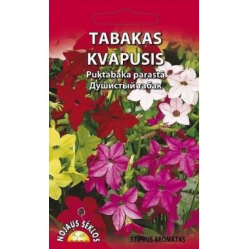 TABAKAS KVAPUSIS