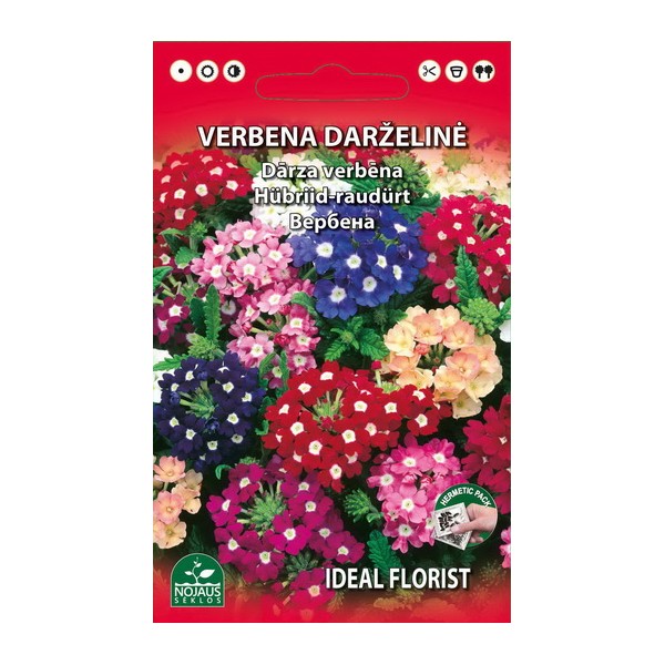 VERBENA DARŽELINĖ MIŠINYS