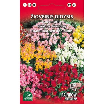 ŽIOVEINIS DIDYSIS RAINBOW