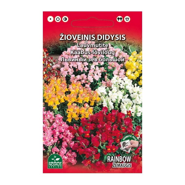 ŽIOVEINIS DIDYSIS RAINBOW