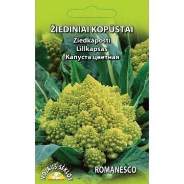ŽIEDINIAI KOPŪSTAI ROMANESCO