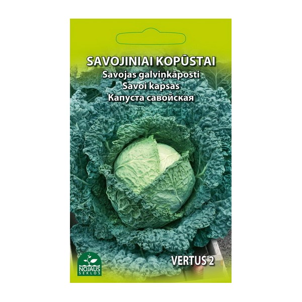 SAVOJOS KOPŪSTAI VERTUS 2