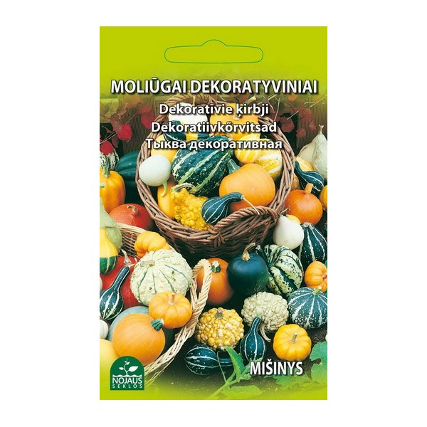 DEKORATYVINIAI MOLIŪGAI (MIŠINYS)