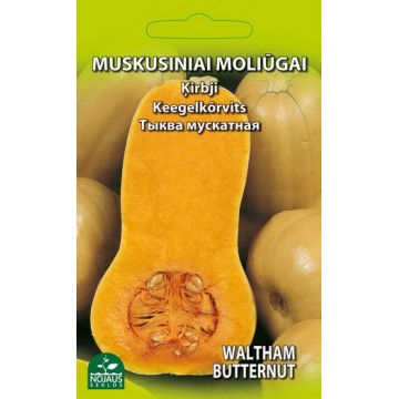 MUSKUSINIAI MOLIŪGAI