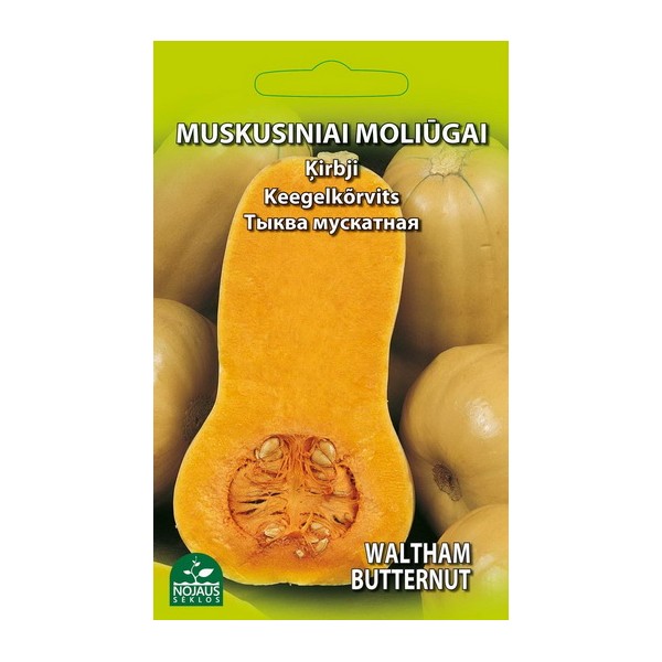 MUSKUSINIAI MOLIŪGAI