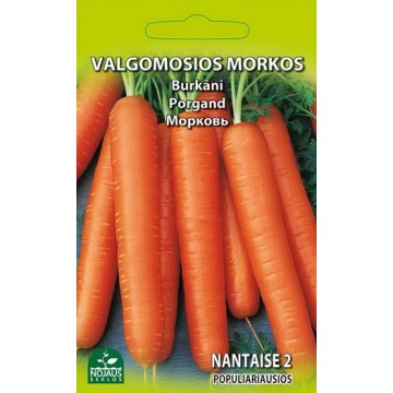 VALGOMOSIOS MORKOS NANTAISE 2