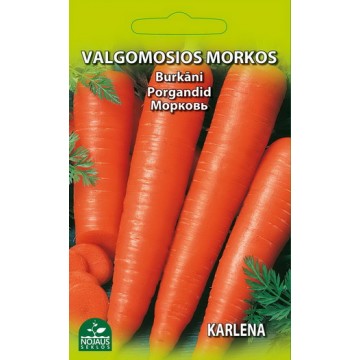 VALGOMOSIOS MORKOS KARLENA