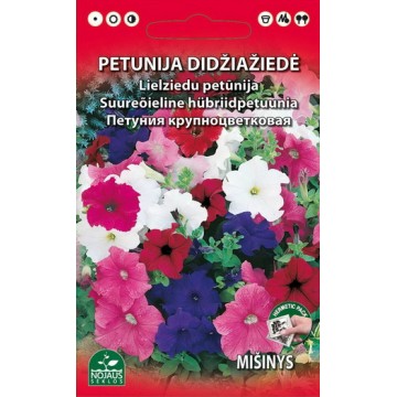 PETUNIJA DARŽELINĖ MIŠINYS