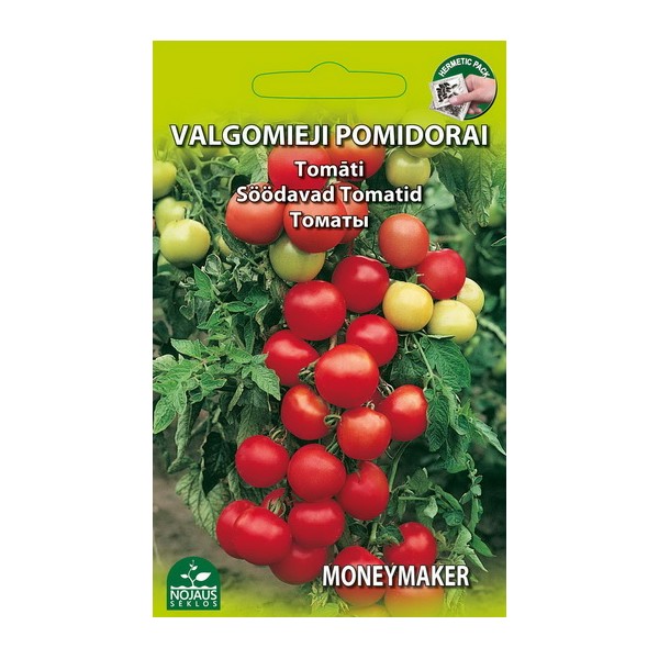 VALGOMIEJI POMIDORAI MONEYMAKER