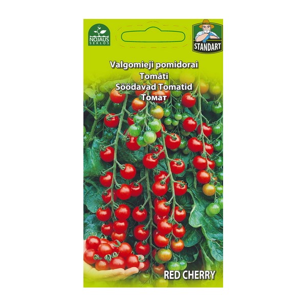 VALGOMIEJI POMIDORAI RED CHERRY