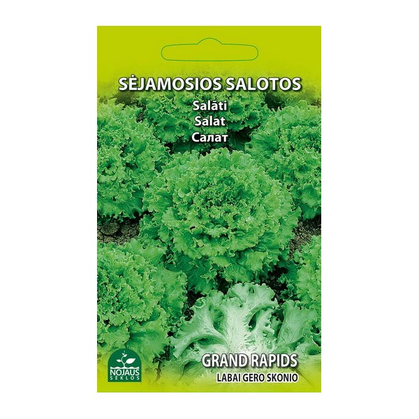 SĖJAMOSIOS SALOTOS GRAND RAPIDS