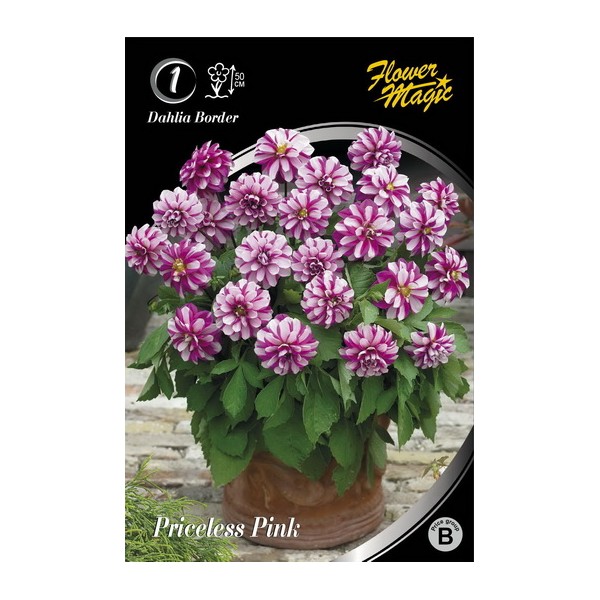 JURGINAS PRICELESS PINK 1vnt
