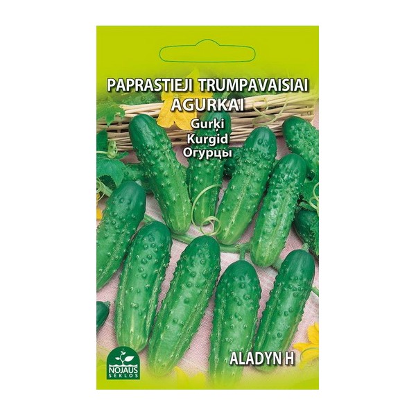 PAPRASTIEJI TRUMPAVAISIAI AGURKAI ALADYN H