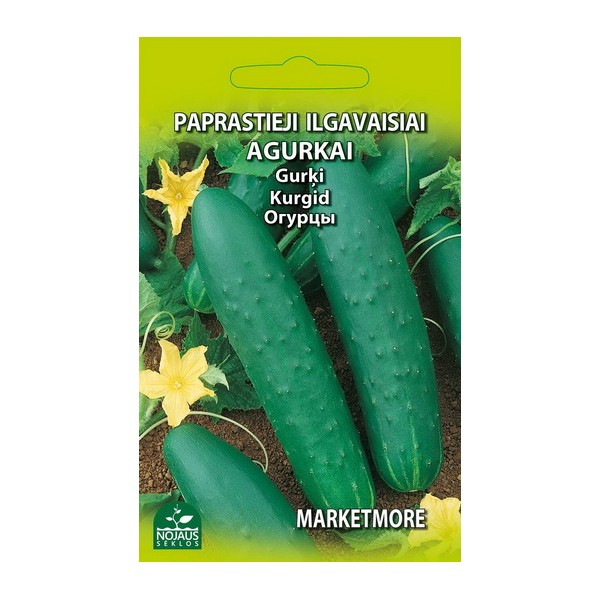 PAPRASTIEJI ILGAVAISIAI AGURKAI MARKETMORE