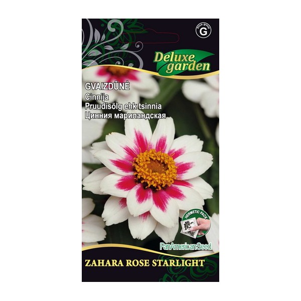 GVAIZDŪNĖ ZAHARA ROSE STARLIGHT