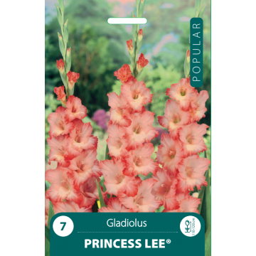 POPULAR KARDELIAI PRINCESS LEE
