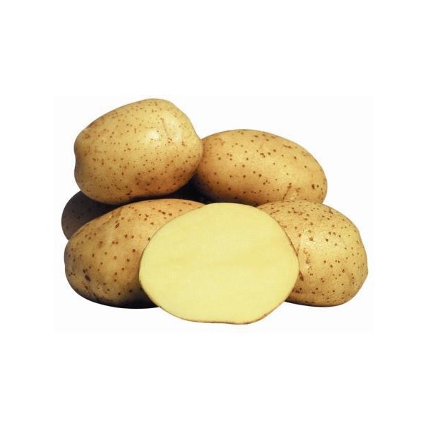 ANKSTYVOS VINETA SĖKLINĖS BULVĖS 5Kg