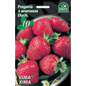 Braškės Frigo Vima ® Xima A 50vnt