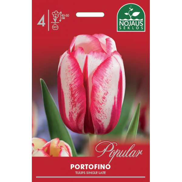POPULAR TULPĖS PORTOFINO 10/11 4 sv.