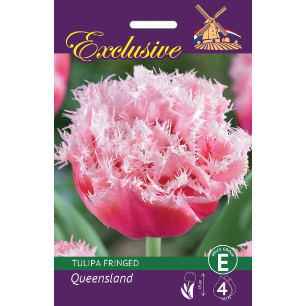 TULPĖS EXCLUSIVE QUEENSLAND